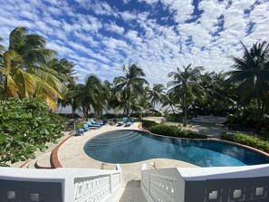 Outdoor pool - Villa Stella Di Mare - Luxurious Beachfront Villa Newly Renovated GOLD STANDARD  (San Pedro)