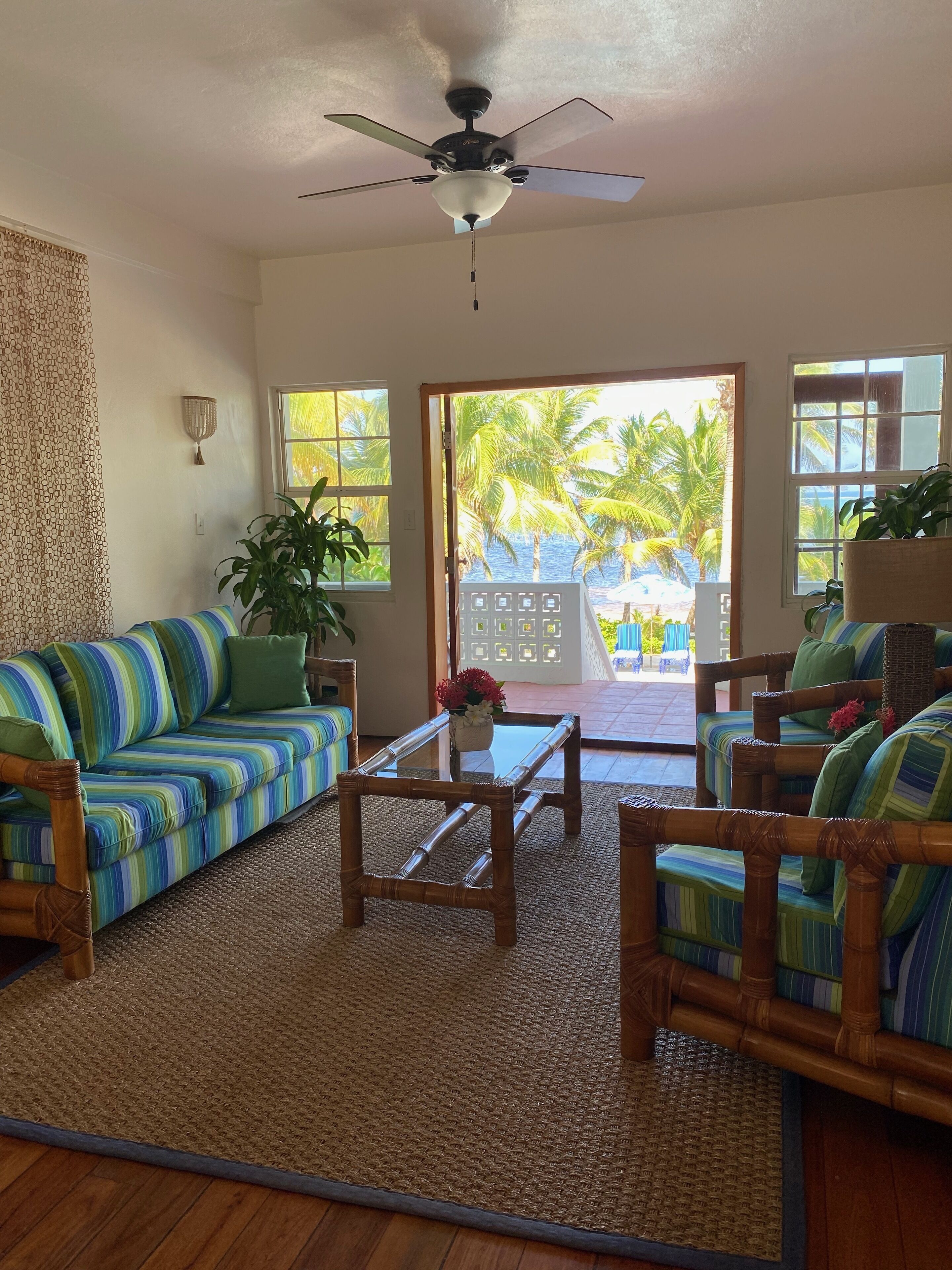 Smart TV, DVD player, books, stereo