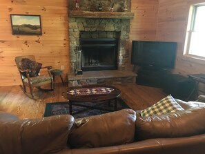 テレビ、暖炉、DVD プレーヤー、書庫