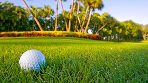 Golfpallo sijaitsee hoidetulla viheriöllä, taivaalla ei ole pilviä ja taustalla näkyy palmuja.