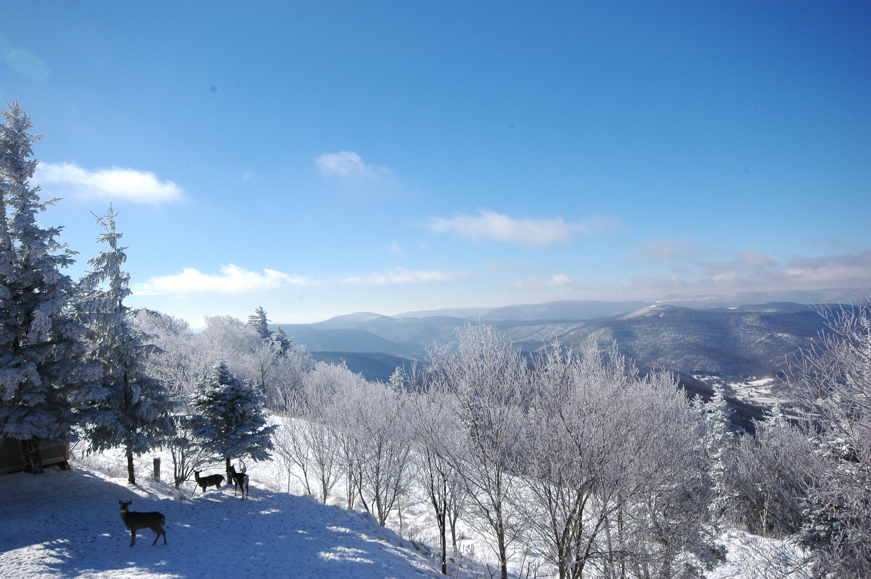 3 BR Condo: Your Cozy Mountain Retreat