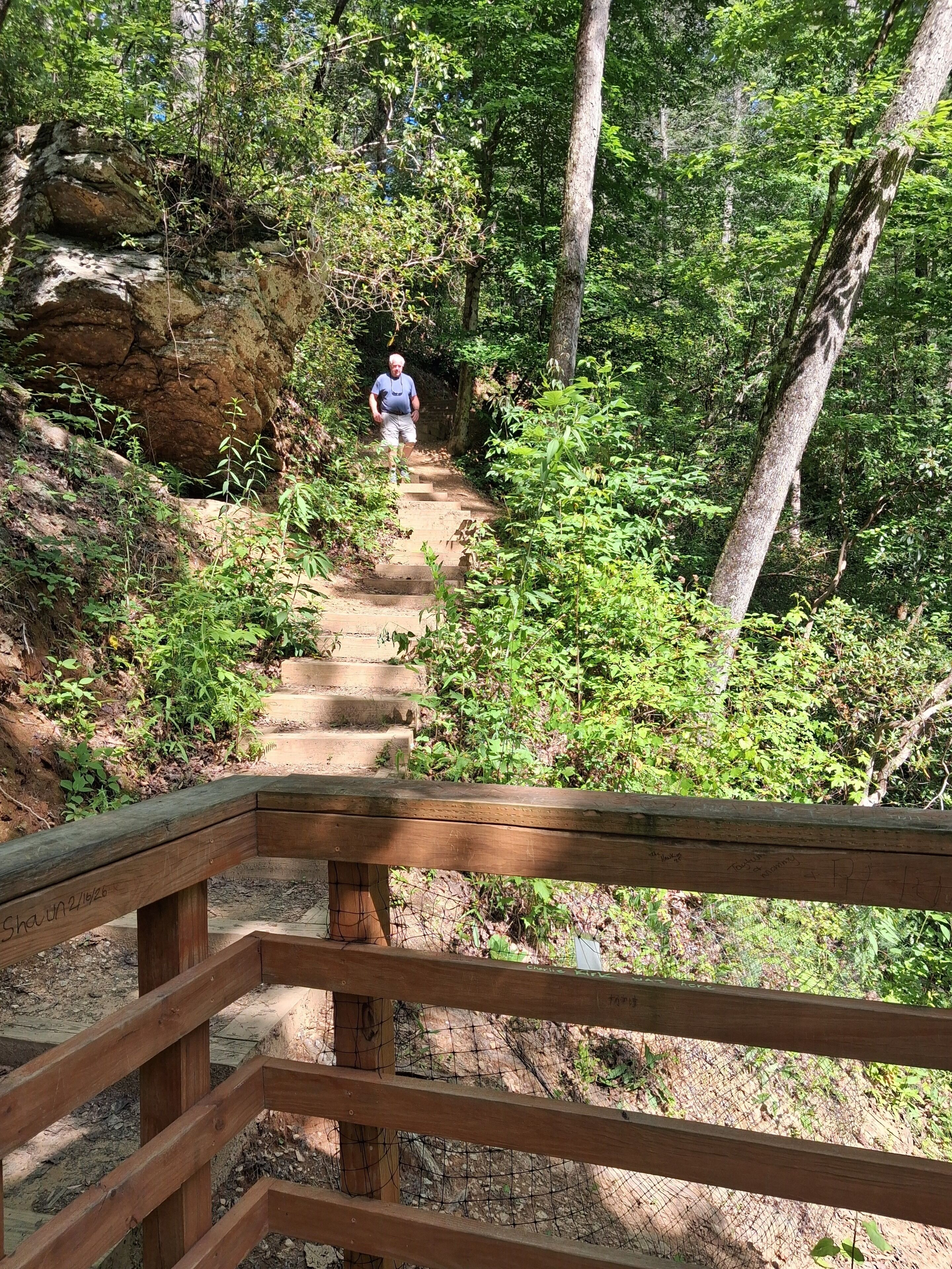 trail to lower brasstown falls