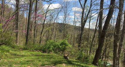 5 Min From The Caves on 21+ Acres, Wi-Fi, Hot Tub, Fire Pit, Pet Friendly, Grill