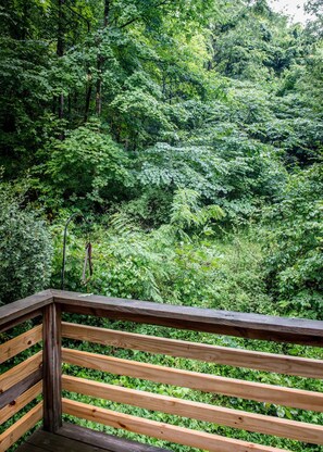 Eine Holzterrasse mit Blick auf dichtes Grün.