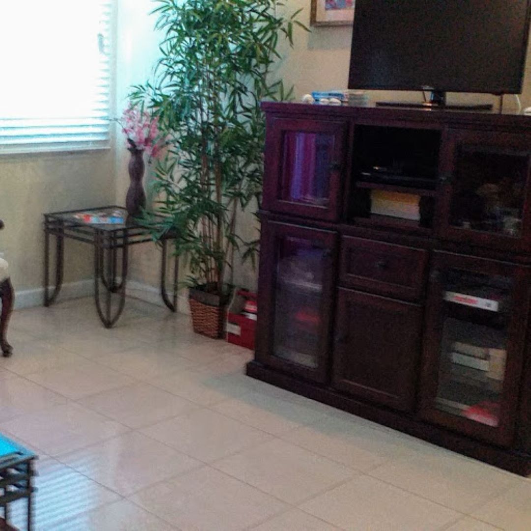 A living room with a television on a wooden cabinet, a small table with a vase, and a large plant.