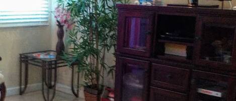 A living room with a television on a wooden cabinet, a small table with a vase, and a large plant.