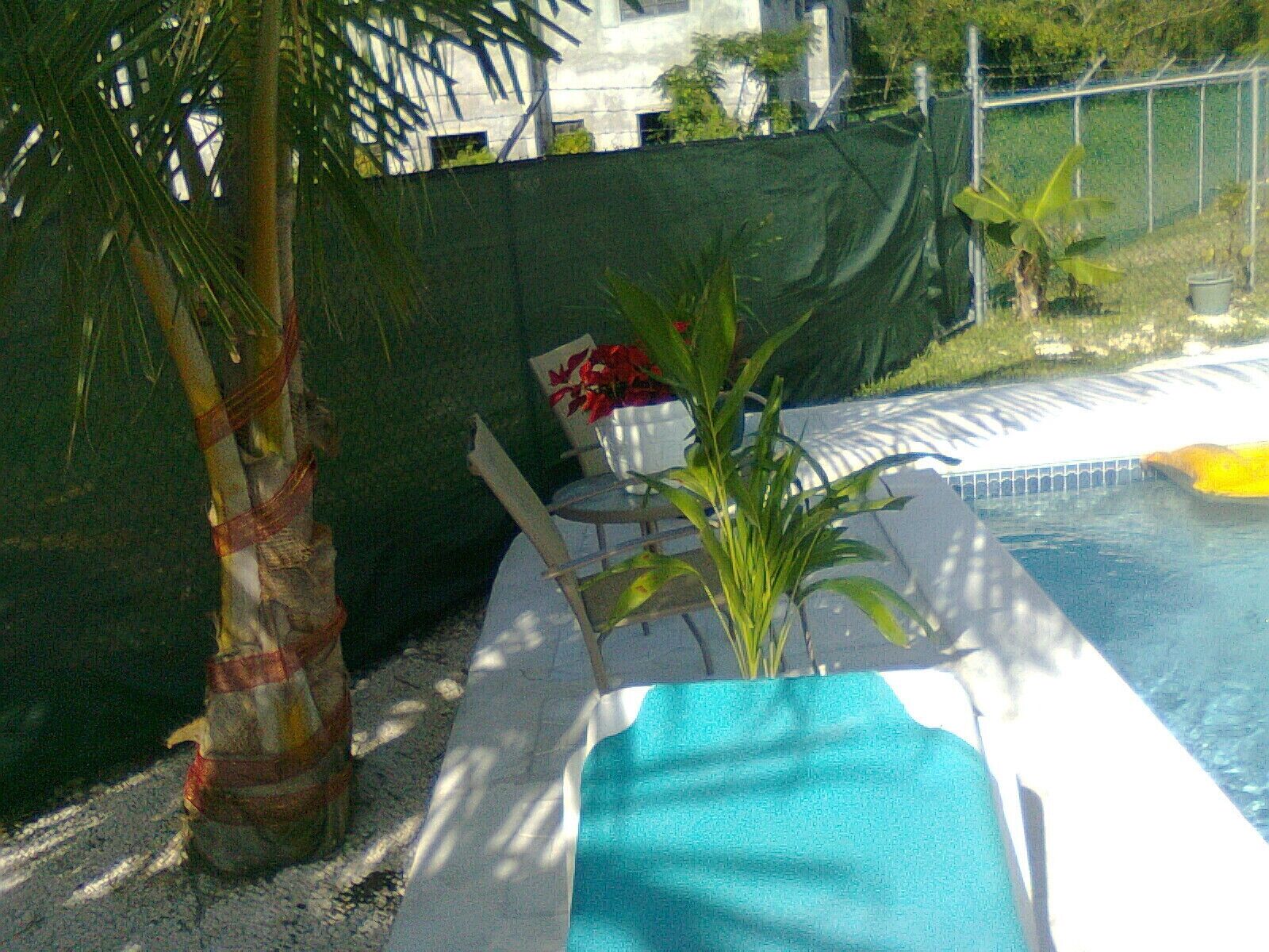 Een zwembadgedeelte met een palmboom, een stoel en een plant in pot.