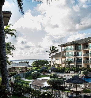 Property grounds -  Luxury Ocean Front Property!  Ocean& pool view.  B204  (Kapaa)
