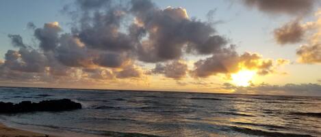 Plage, chaises longues, serviettes de plage