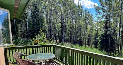 Peaceful Hillside Refuge to Enjoy Aurora