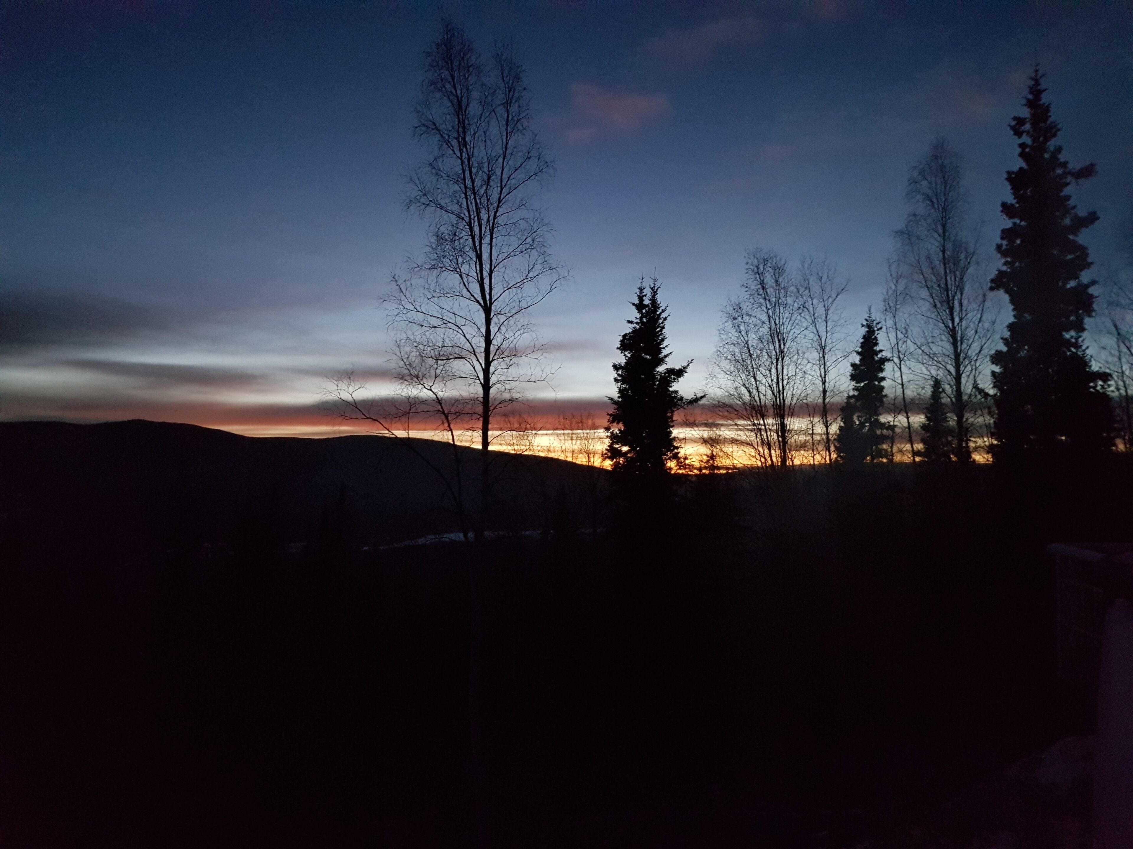 La silhouette d’une forêt, avec en arrière-plan un paysage vallonné et un coucher de soleil lointain.