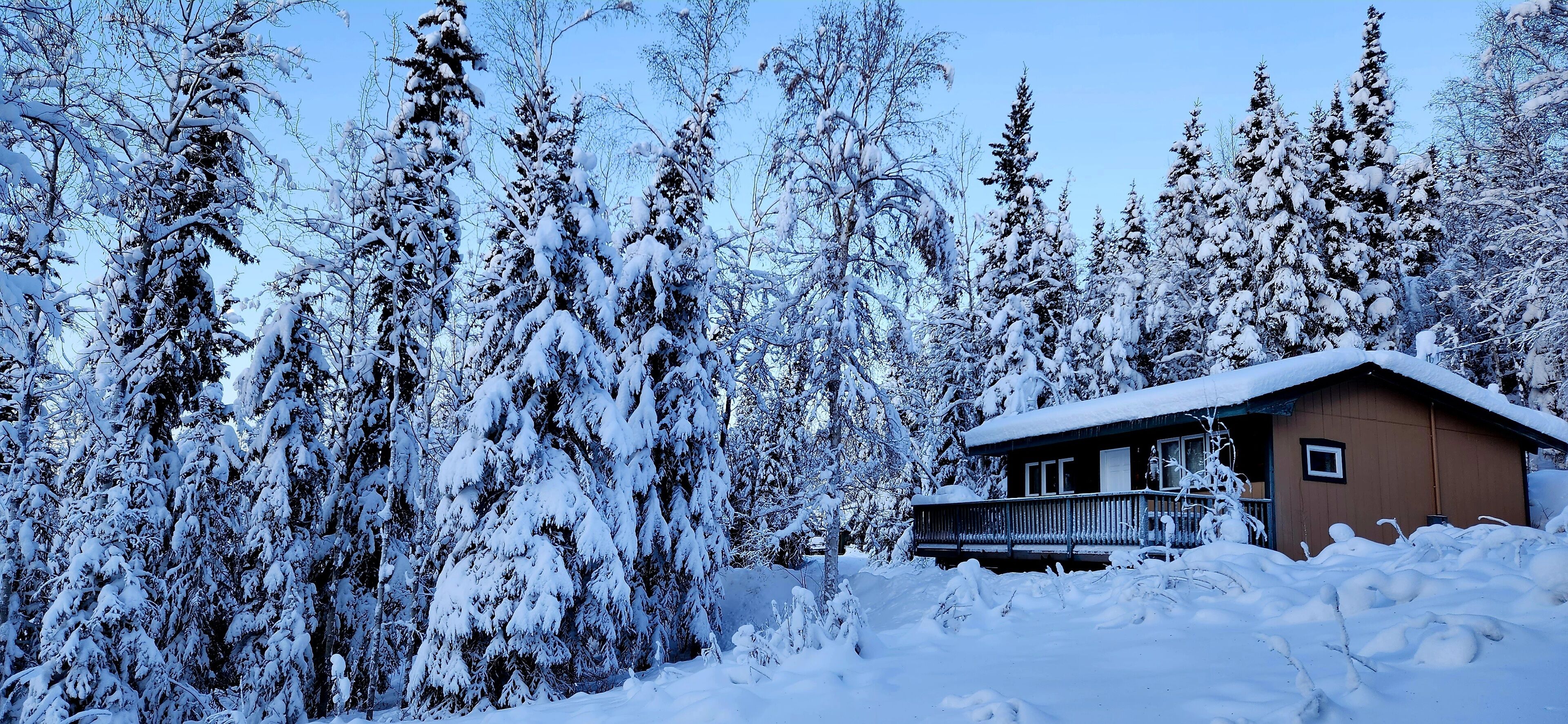 Peaceful Hillside Refuge to Enjoy Aurora