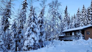 Een chalet omringd door met sneeuw bedekte bomen.