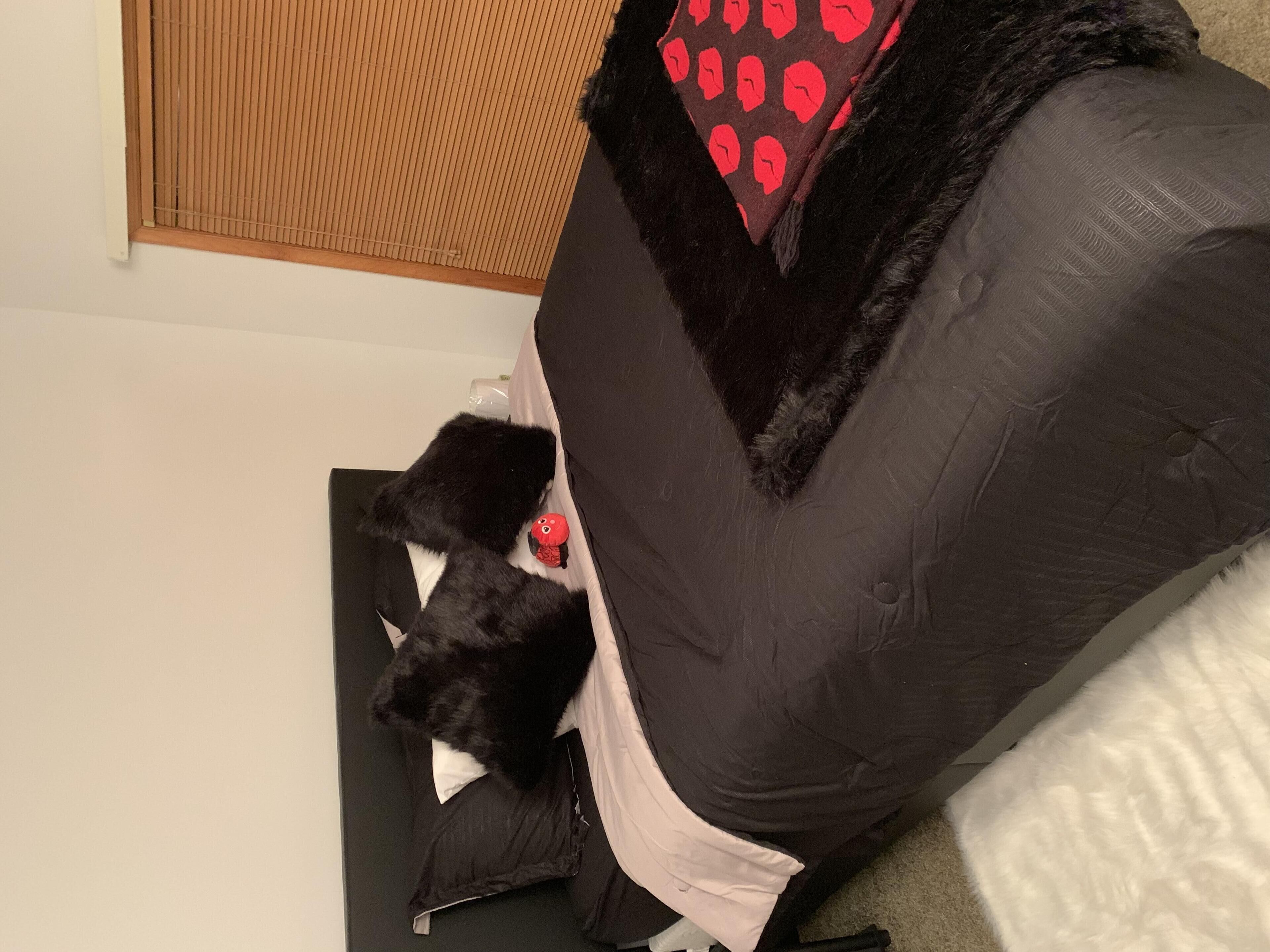 Shawnee Ski Resort is the golden 4 season experience!