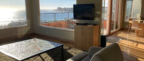 Smart TV, DVD player, books, video library