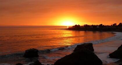 Oceanfront Santa Cruz - Pet Friendly!