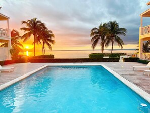 Pool - True Beachfront! Walk Out to White Sand & Turquoise Water-102 (Nassau)