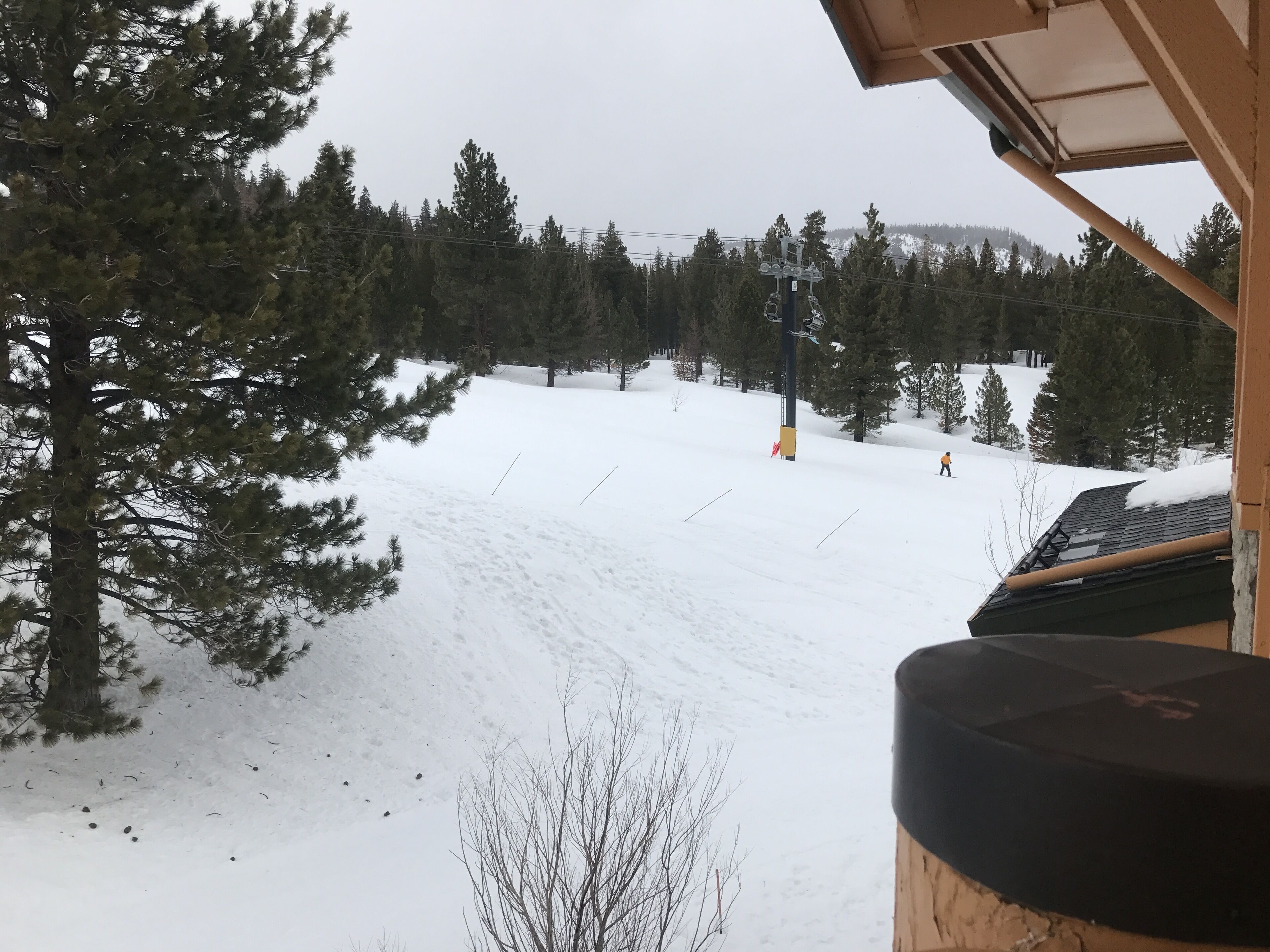 Paisatge nevós amb una pista d'esquí, arbres i un edifici amb teulada.