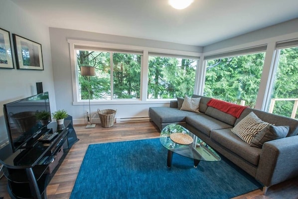 Smart-TV, DVD-Player, Stereoanlage