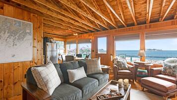 智能電視、壁爐、DVD 播放機、書籍