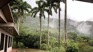 Un espacio al aire libre techado con suelo mojado, rodeado de altas palmeras y abundante vegetación, que da paso a un paisaje montañoso.