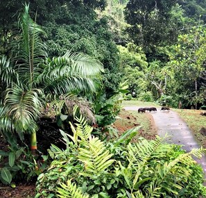 Terrain de l’hébergement 