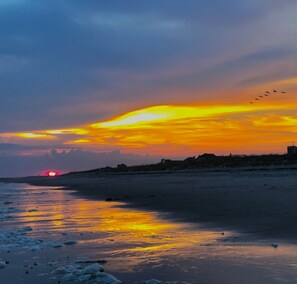 Ranta lähistöllä, aurinkotuoleja, rantapyyhkeitä