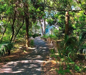 Walk through a serene forest, leading to a secluded retreat with a blue roof.