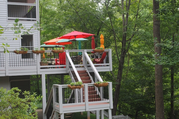 gated deck overlooking the lake-- two tables seating 4-6 each, chaise lounges!