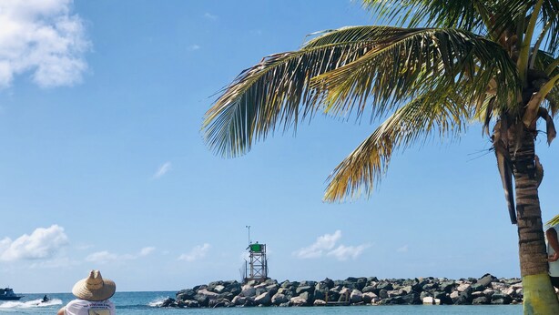 A beach with a palm tree, a lifeguard tower, and people in the water. - El Faro Surf House!!  Less Than 2 mi From Airport And Surf (Aguadilla)