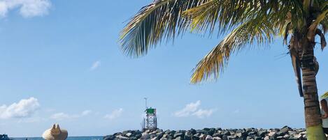 بالقرب من الشاطئ، كراسي للتشمس، مناشف للشاطئ