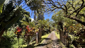 A pathway flanked by lush greenery and a wooden fence, leading into a garden area. - Riverfront Gardens Paddle to the Beach, Rejuvenation Peace & Quiet! (Hanalei)