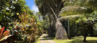 Paddle to the Beach from a Private Family Retreat-A/C-Central to Hanalei & Ke'e
