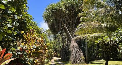 Paddle to the Beach from a Private Family Retreat-Central to Hanalei And Ke'e