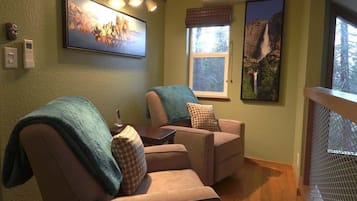 Smart TV, fireplace, books, music library