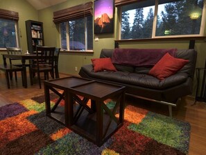 Smart TV, fireplace, books, music library