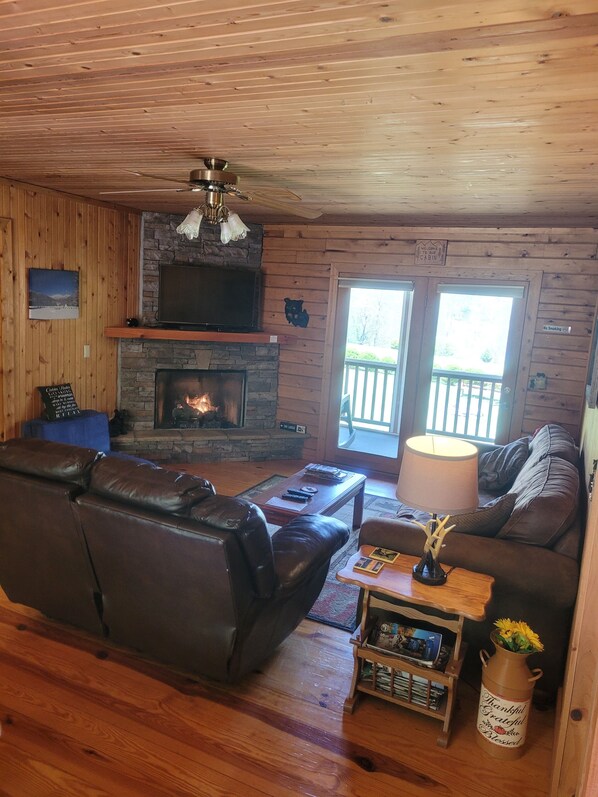 Smart TV, fireplace, DVD player, books