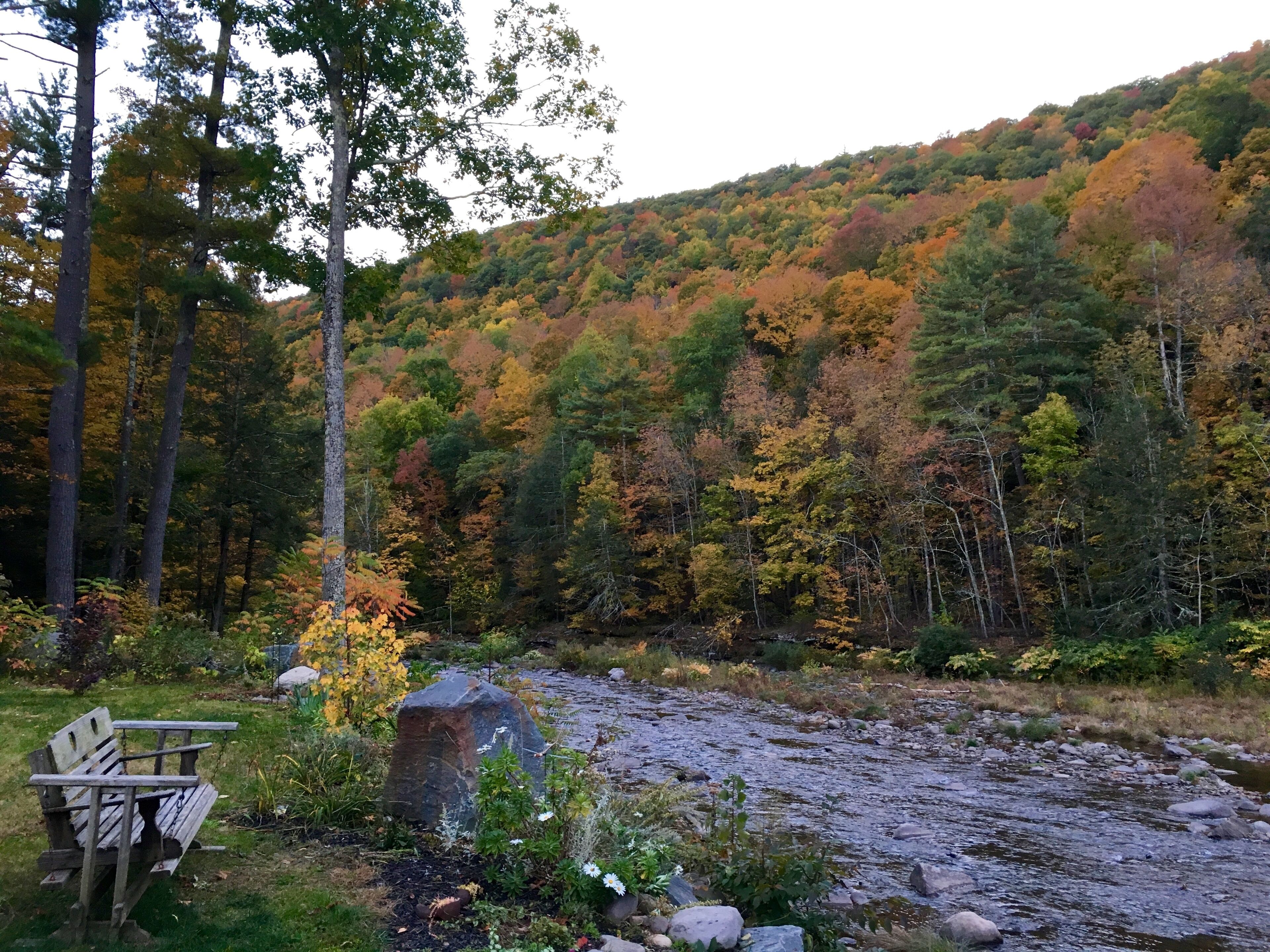 Sanctuary by the Stream