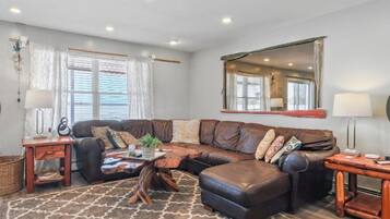 TV, fireplace, DVD player, books