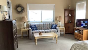 Smart TV, fireplace, DVD player, books