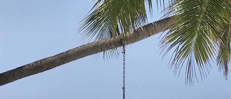 Sun loungers, beach towels