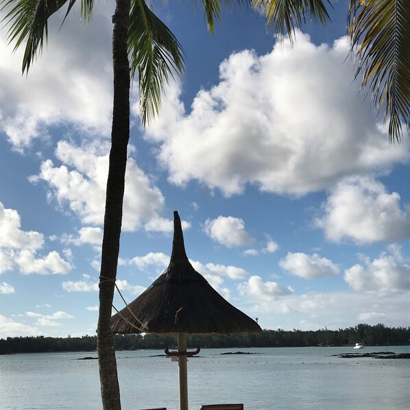 A beach scene with a thatched-roof structure, palm trees, and a calm sea.
