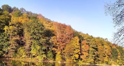 Clean!! Charming Cottage! Waterviews, WiFi, Outdoor Firepit, New Canvas Art TV