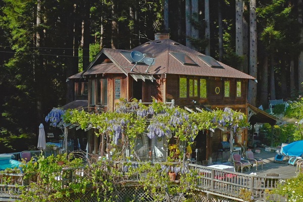 Sunny location in the majestic redwood trees