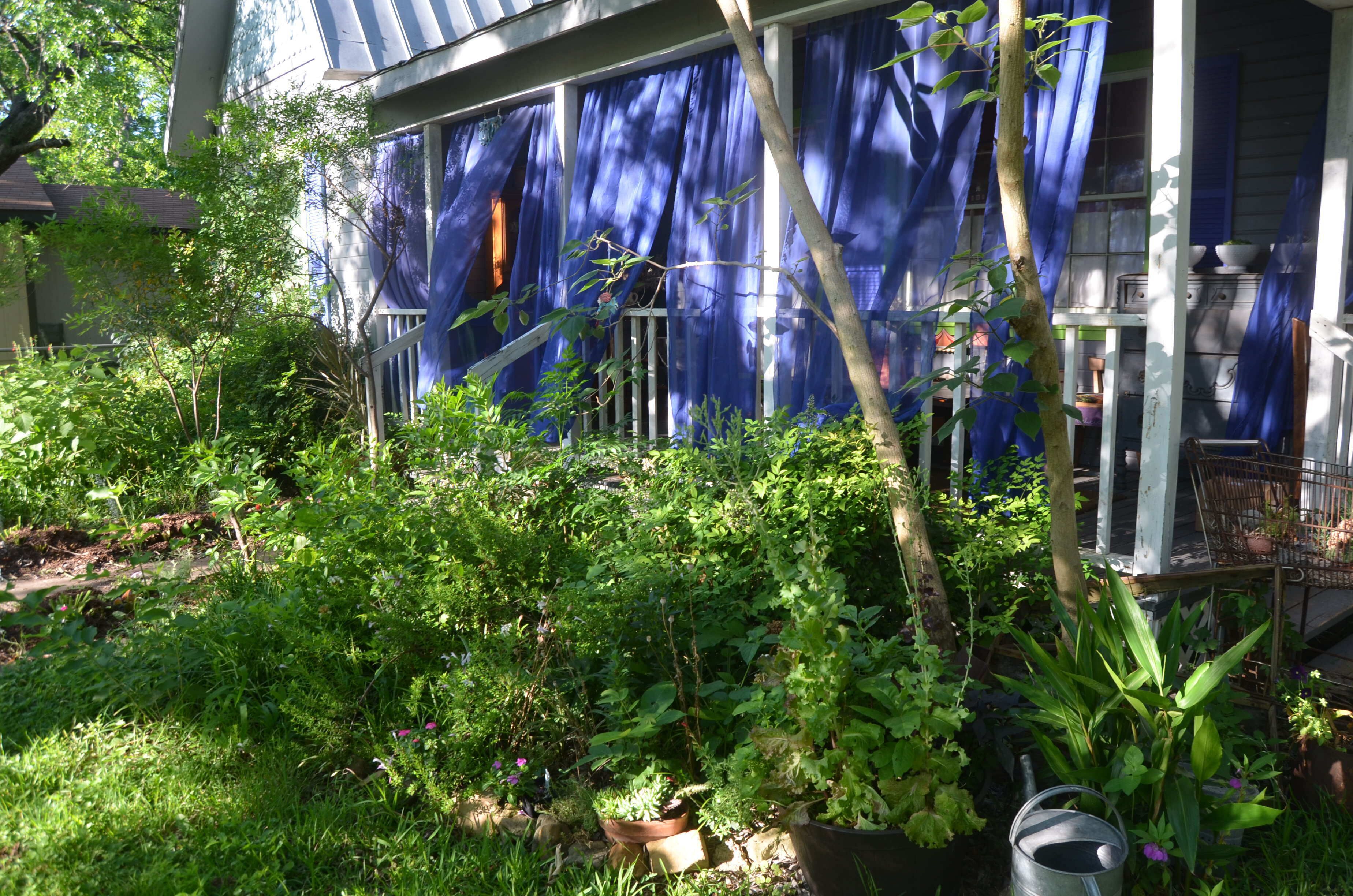 Botanical Retreat Cottage, 30 Minutes From Austin