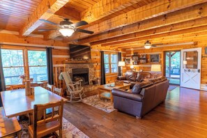 TV connectée, cheminée, lecteur de DVD, livres