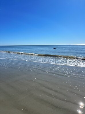 Una spiaggia nelle vicinanze, lettini da mare