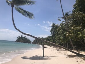 A beach with a fallen palm tree, clear blue sky, and ocean waves. - Reserve this beautiful Costa Rican villa and experience the best of Costa Rica  (Quebrada Ganado)