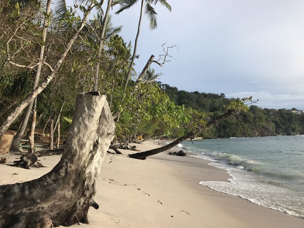 Beach nearby, sun-loungers, beach towels