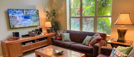 Smart TV, DVD player, books, video library